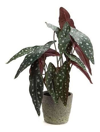 Bégonia artificiel en pot