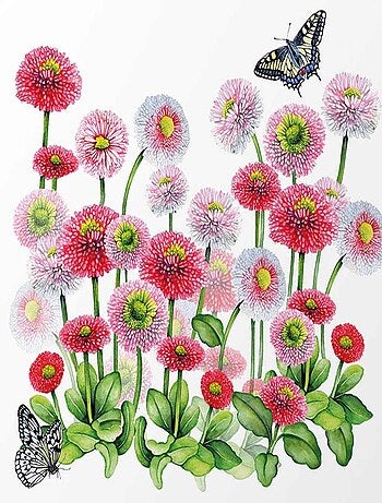 Bellis - Mini plateau vide poche rectangulaire