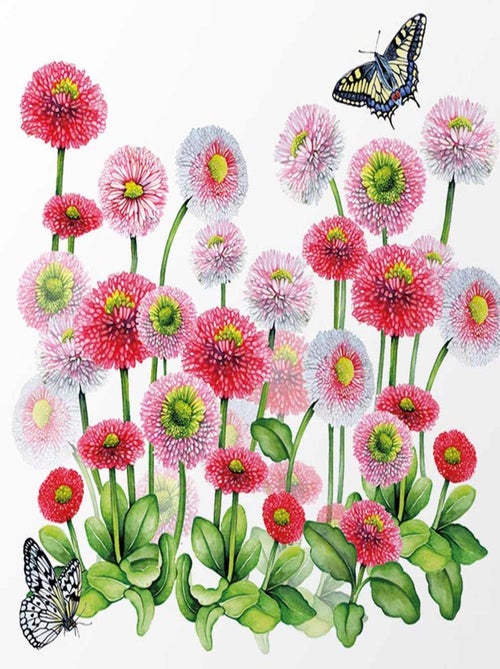 Bellis - Mini plateau vide poche rectangulaire - Kiabi