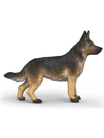 Berger allemand