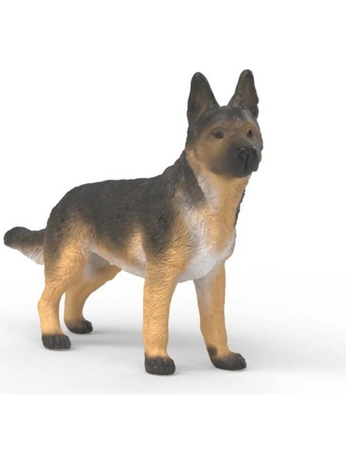 Berger allemand - Kiabi