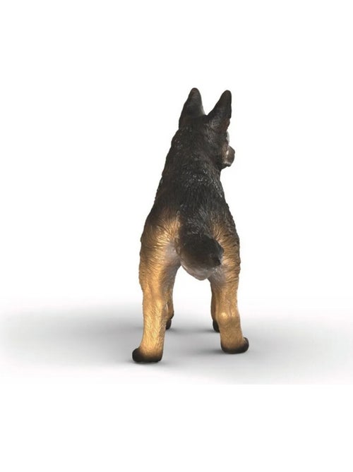 Berger allemand - Kiabi