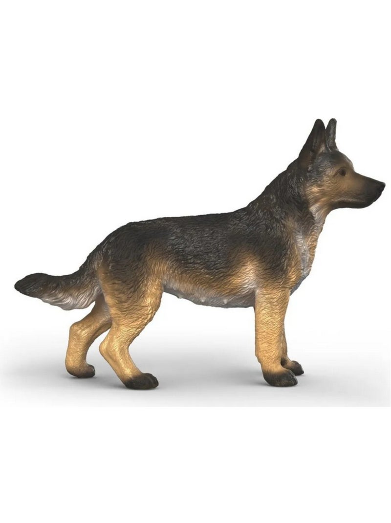 Berger allemand Marron - Kiabi