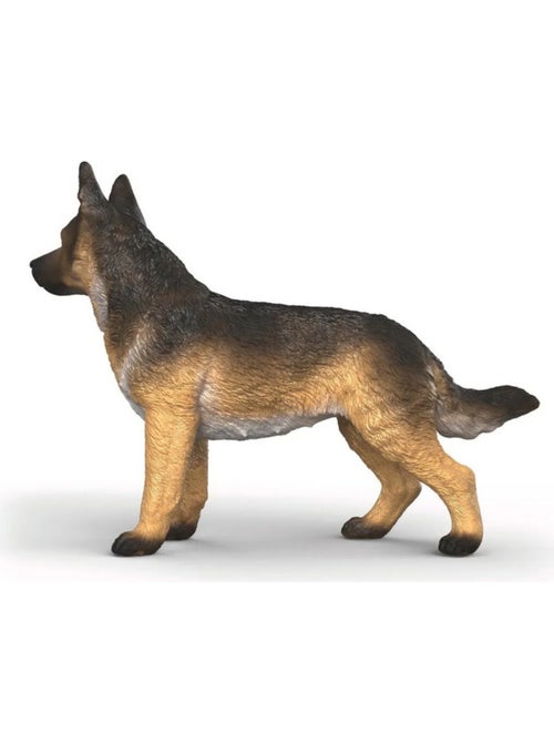 Berger allemand - Kiabi