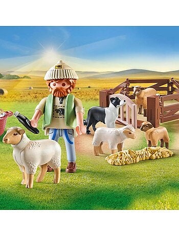 Berger avec moutons - Country