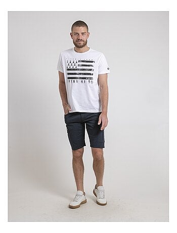 Bermuda battle BAREIN