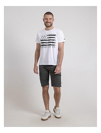 Bermuda battle BAREIN