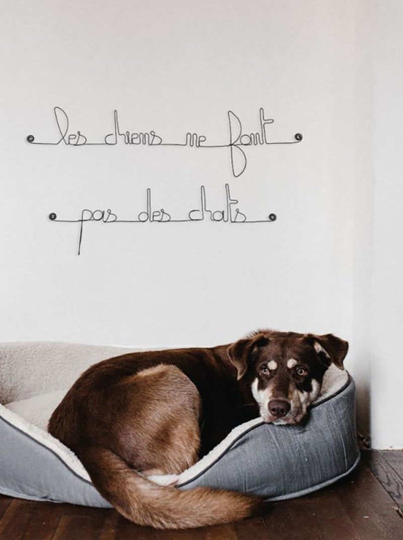 Bijoux de mur - Citation en fil de fer - Les chiens ne font pas des chats Noir Noir - Kiabi