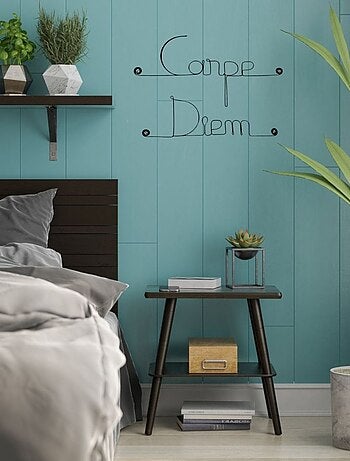 Bijoux de mur - Message fil de fer - Carpe Diem