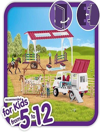 Bilan De Santé Avant Le Grand Tournoi - Schleich