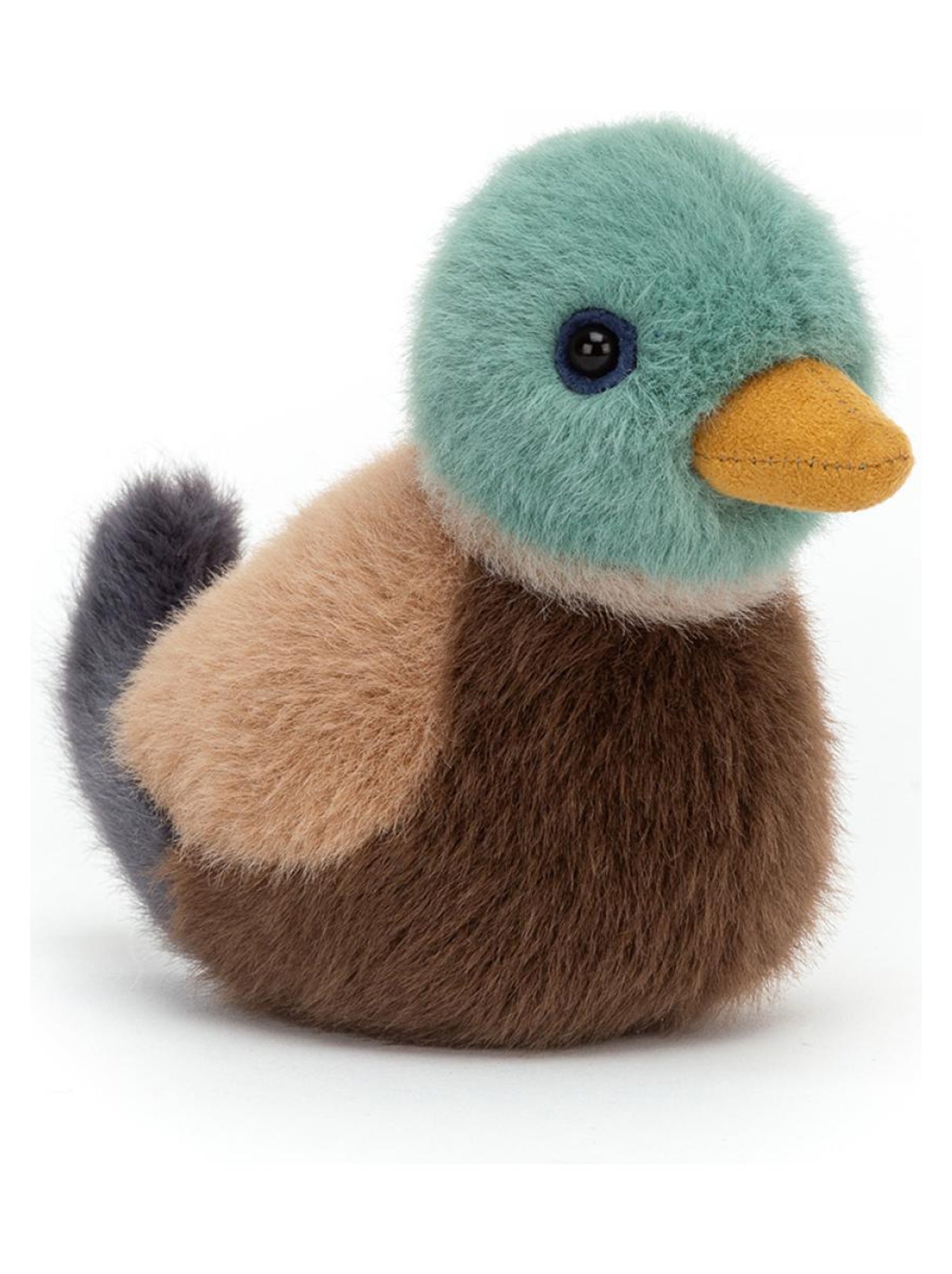 Birdling Mallard Bleu Kiabi nu