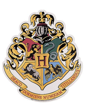 Blason en carton Ecole des sorciers Poudlard Harry Potter 61 x 48 cm
