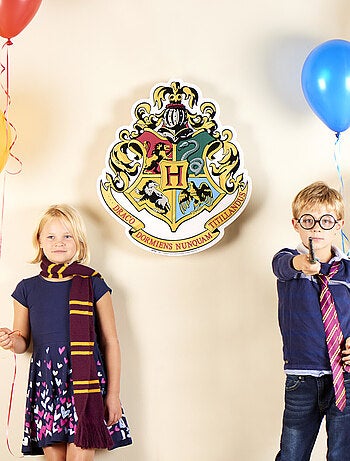Blason en carton Ecole des sorciers Poudlard Harry Potter 61 x 48 cm