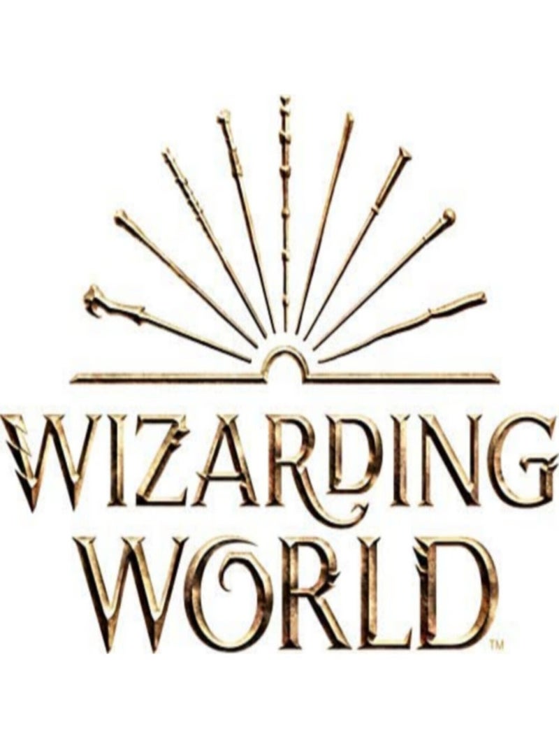 Blason en carton Ecole des sorciers Poudlard Harry Potter 61 x 48 cm Multicolore - Kiabi