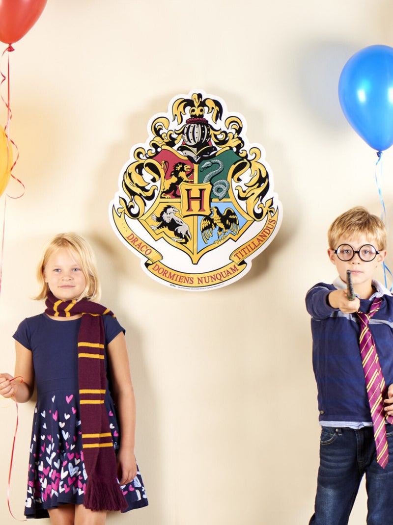 Blason en carton Ecole des sorciers Poudlard Harry Potter 61 x 48 cm Multicolore - Kiabi