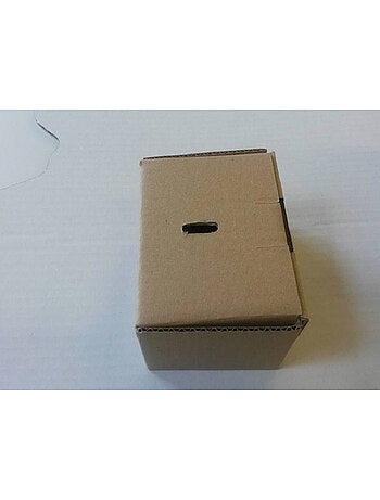 Blason mural en carton Marvel Gardiens de la Galaxie Je s'appelle Groot 67 cm