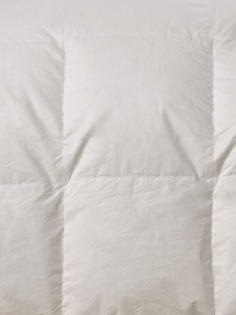 Bleu Câlin - Couette duvet chaude 90% duvet de canard Blanc - Kiabi