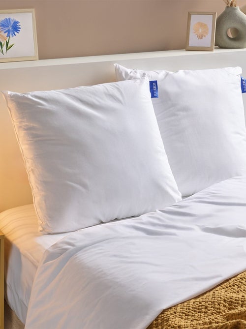 Bleu Câlin - Lot de 2 oreillers ferme coton bio - Kiabi