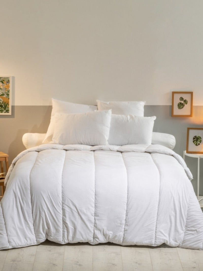 Bleu Câlin - Lot de 2 oreillers moelleux Anti punaises de lit Blanc - Kiabi