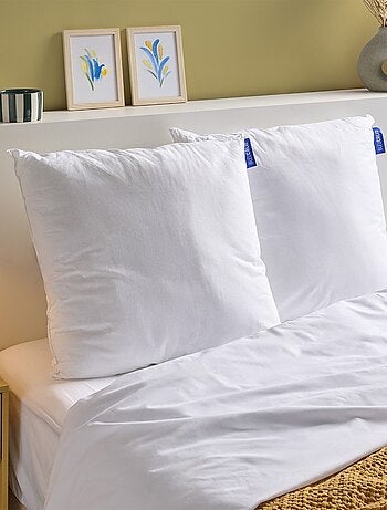 Bleu Câlin - Lot de 2 oreillers moelleux coton bio