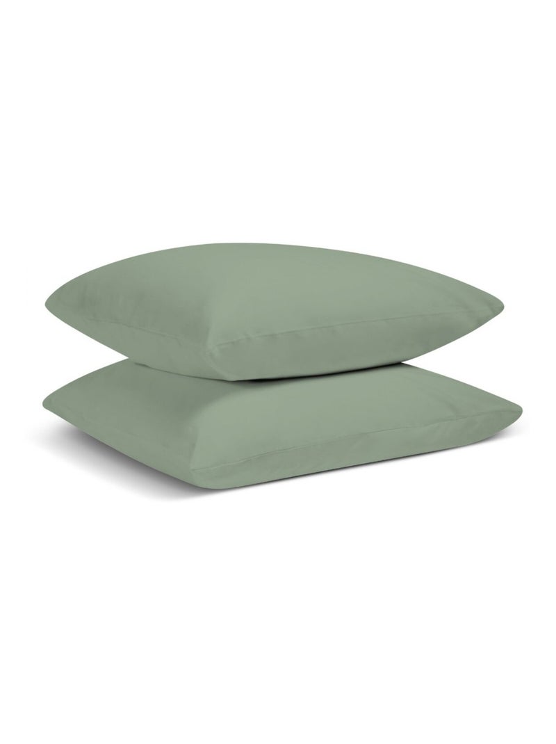 Bleu Câlin - Lot de 2 Taies d'oreiller unies Percale de coton 80 fils/cm² Vert clair - Kiabi