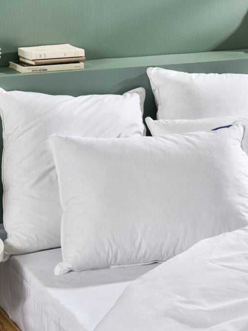 Bleu Câlin - Oreiller duvet moelleux 90% duvet canard - Kiabi Bleu Câlin - Oreiller duvet moelleux 90% duvet canard - Kiabi