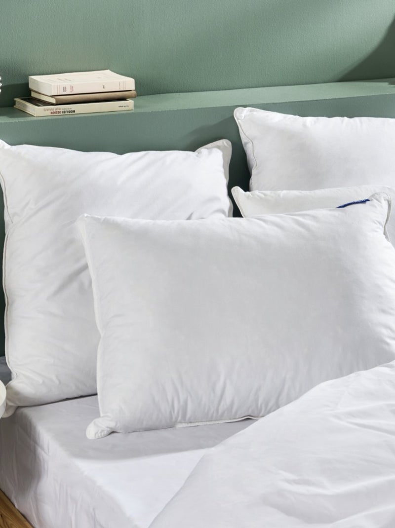Bleu Câlin - Oreiller duvet moelleux 90% duvet canard Blanc - Kiabi