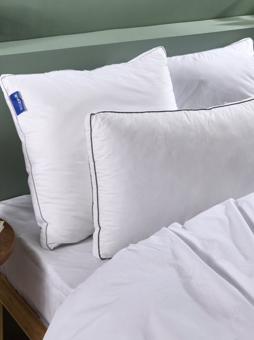 Bleu Câlin - Oreiller ferme sensation duvet premium - Kiabi Bleu Câlin - Oreiller ferme sensation duvet premium - Kiabi