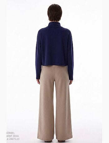Blouse femme en modal à col montant et manches longues penti