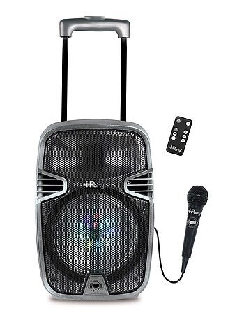 Bluetooth Karaoke avec roulettes, lumières et micro