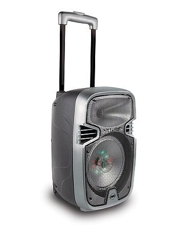 Bluetooth Karaoke avec roulettes, lumières et micro