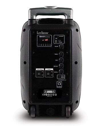 Bluetooth Karaoke avec roulettes, lumières et micro