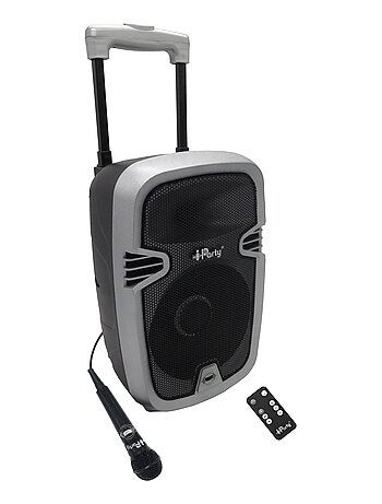 Bluetooth Karaoke avec roulettes, lumières et micro