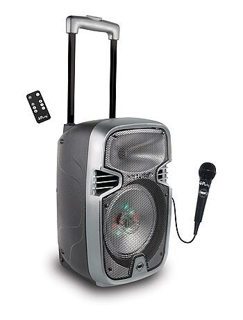 Bluetooth Karaoke avec roulettes, lumières et micro