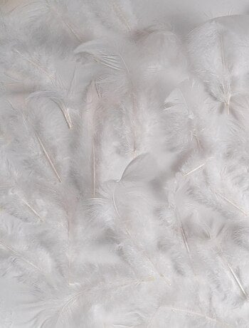 Boa ou guirlande en plumes