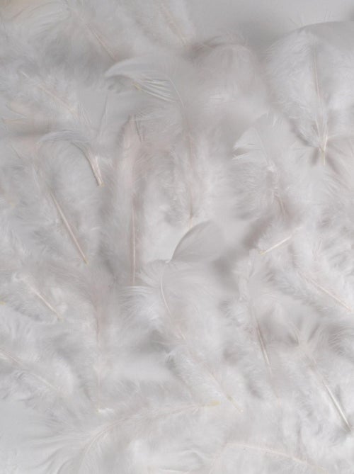 Boa ou guirlande en plumes - Kiabi