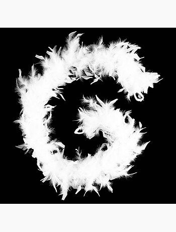 Boa plumes 1,8m 45g blanc