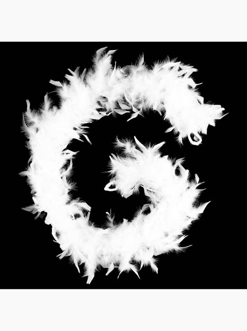 Boa plumes 1,8m 45g blanc - Kiabi