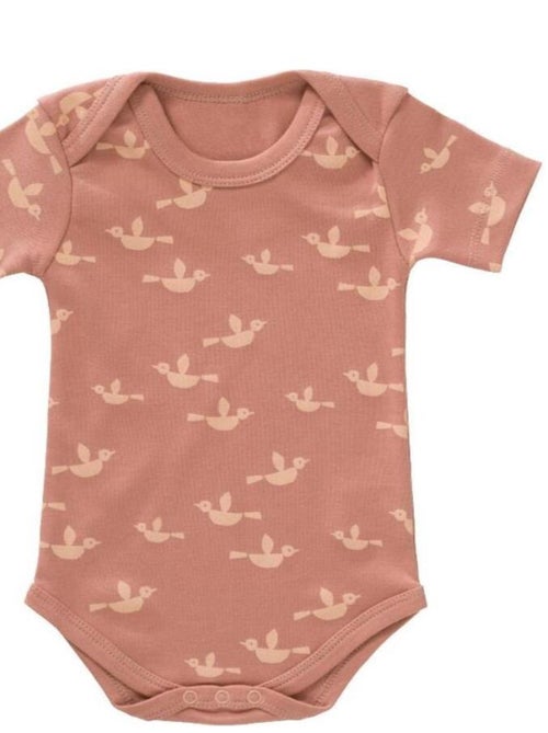 Body Oiseaux en Coton Bio - Kiabi