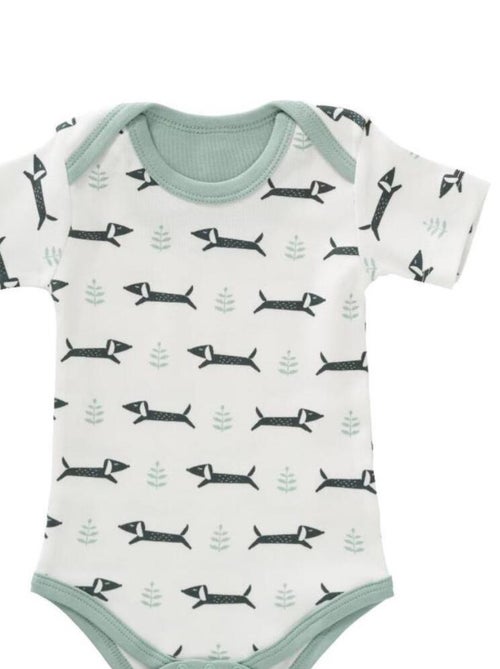 Body Teckel en Coton Bio - Kiabi