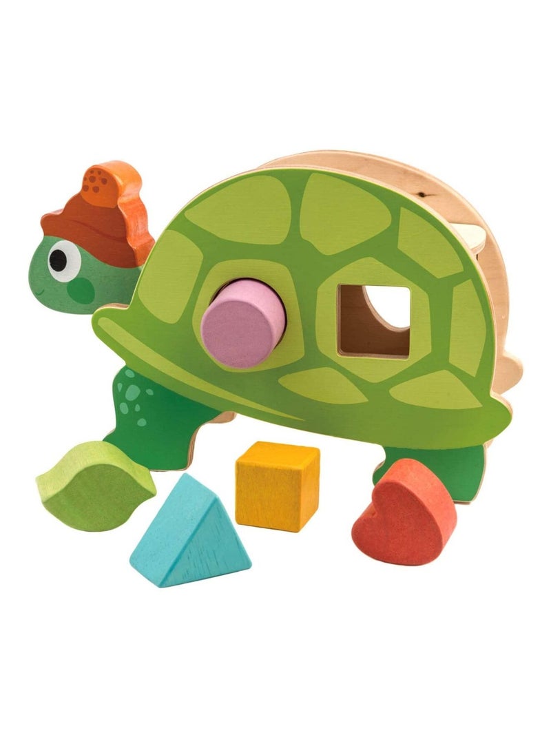 Boîte à formes Tortue Vert - Kiabi