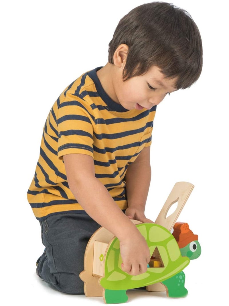 Boîte à formes Tortue Vert - Kiabi