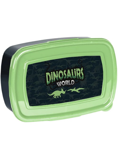 Boîte à lunch enfants 'Dinosaur World' 750 ml anti-fuites BPA FREE – PASO - Kiabi
