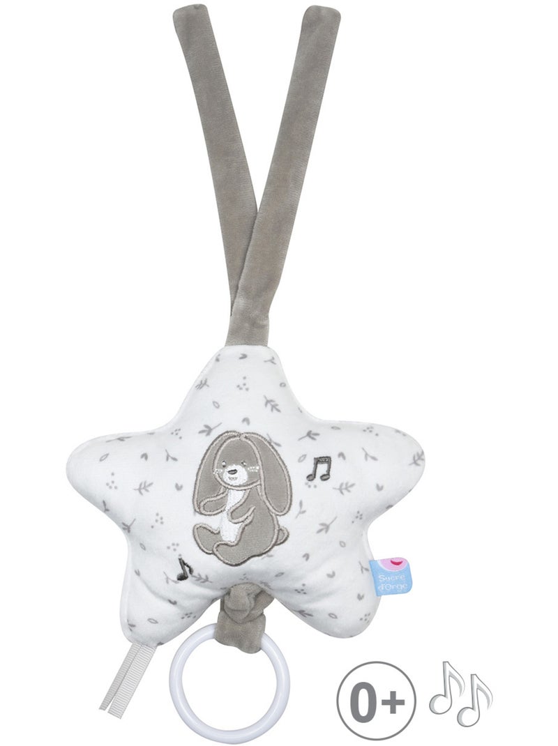 BOITE A MUSIQUE LAPIN REMY VELOURS DOUX Gris - Kiabi