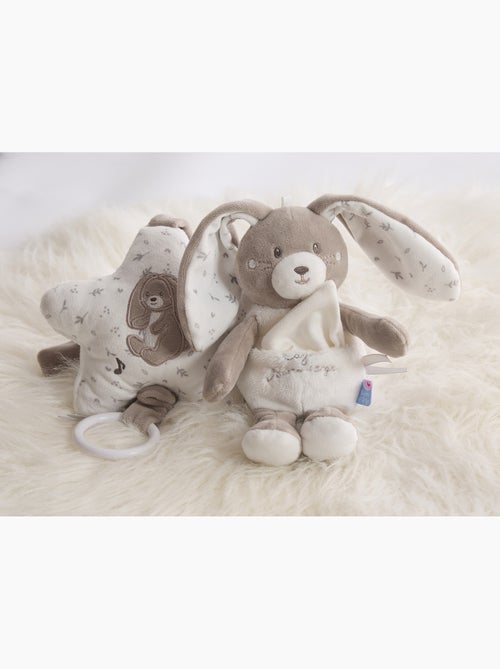 BOITE A MUSIQUE LAPIN REMY VELOURS DOUX - Kiabi
