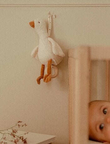 Boite à musique Oie