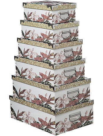 Boite Coins x6 Lady Jungle BOX'
