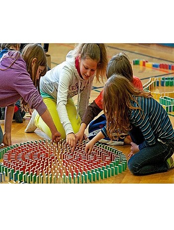 Boite de 500 dominos Pestas