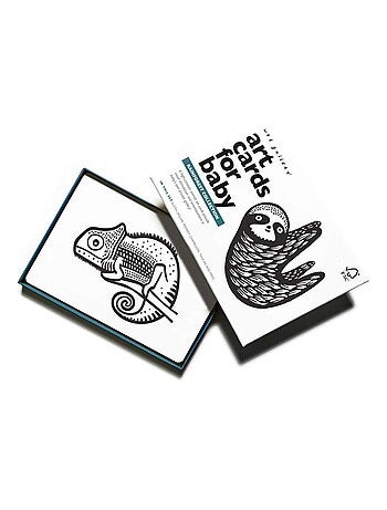 Boîte de 6 cartes Imagier en Noir et Blanc - Forêt Tropicale