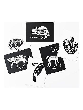 Boîte de 6 cartes Imagier en Noir et Blanc - Forêt Tropicale